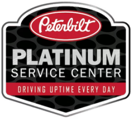 services-platinum-badge